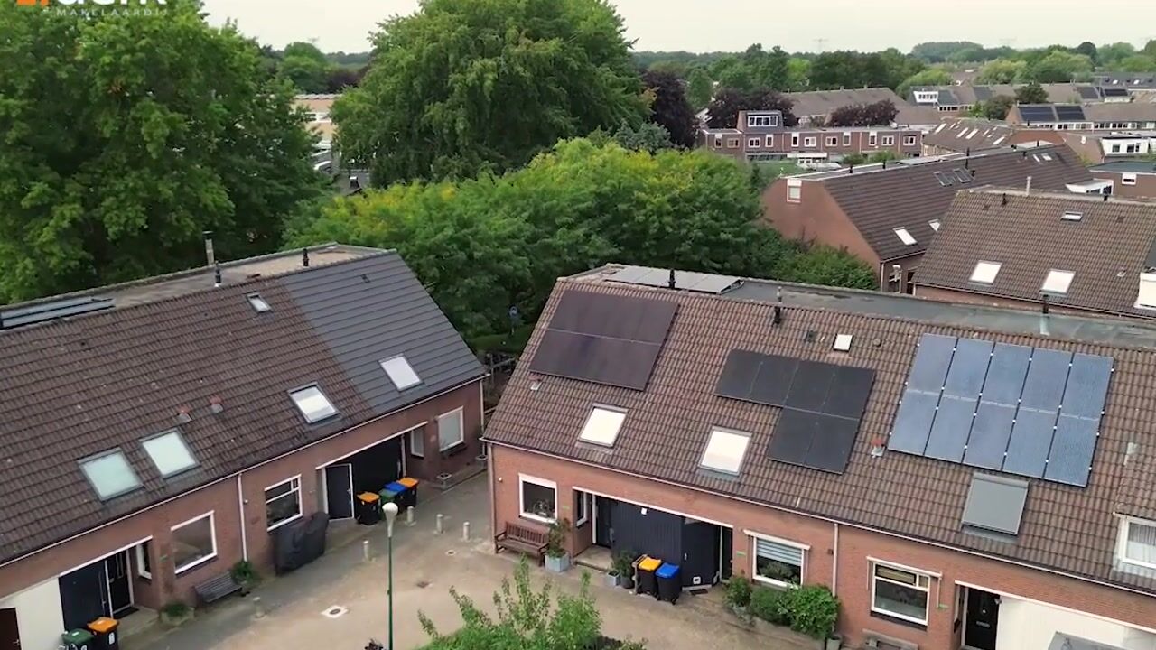 Video van Kamelenspoor 334