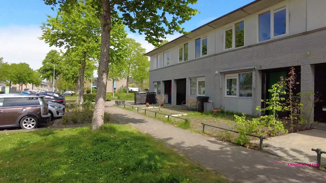 Video van Harpstraat 95