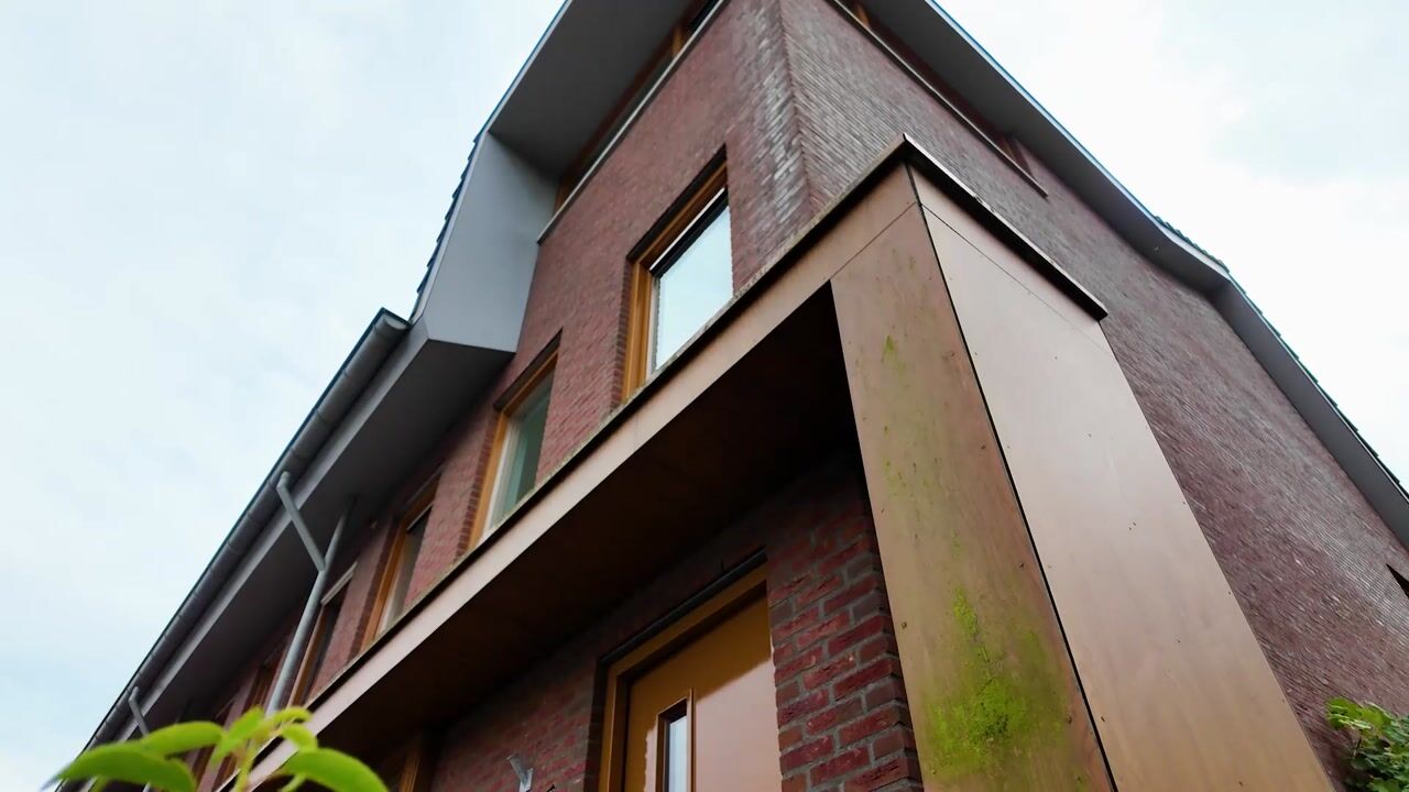 Video van Knoopkruid 42