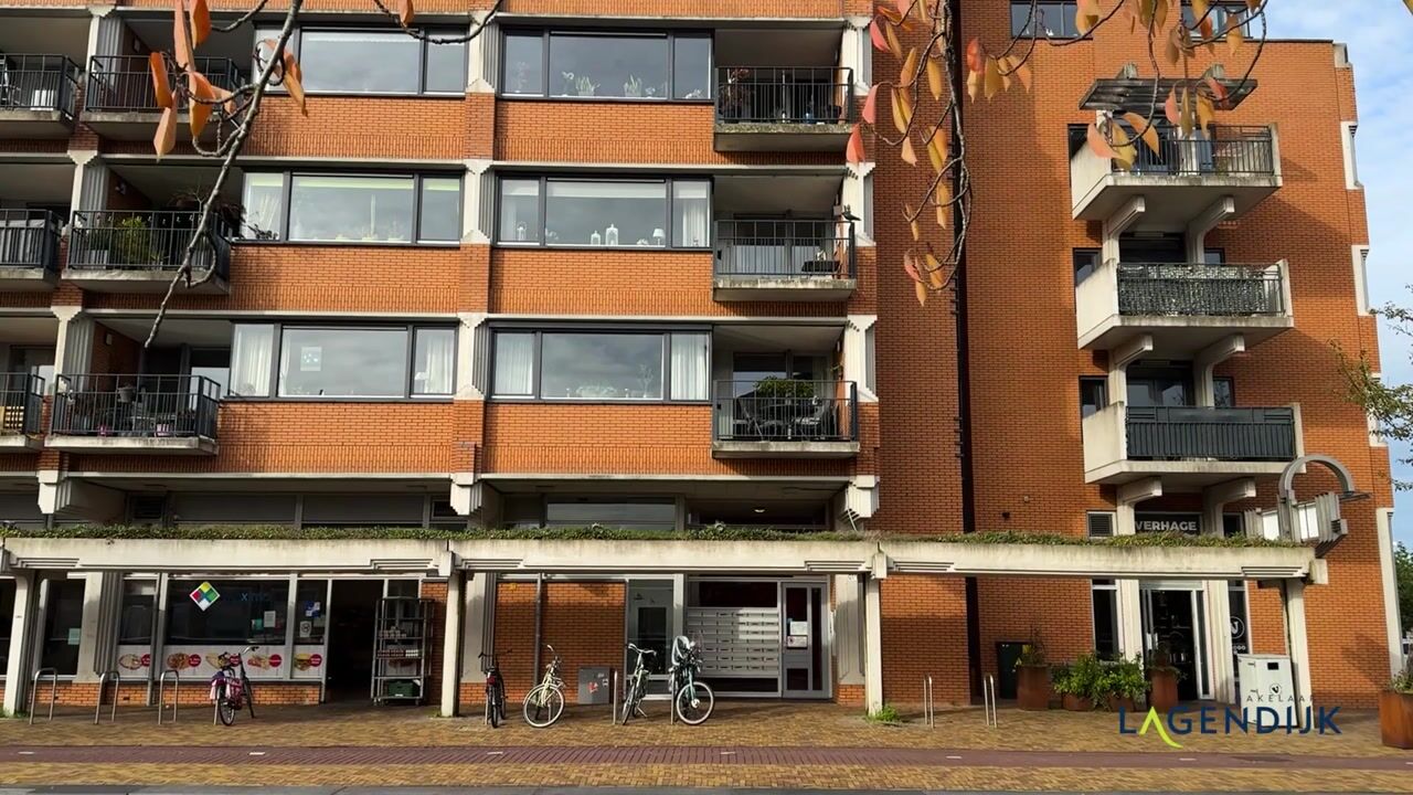 Video of Dorrestein 38