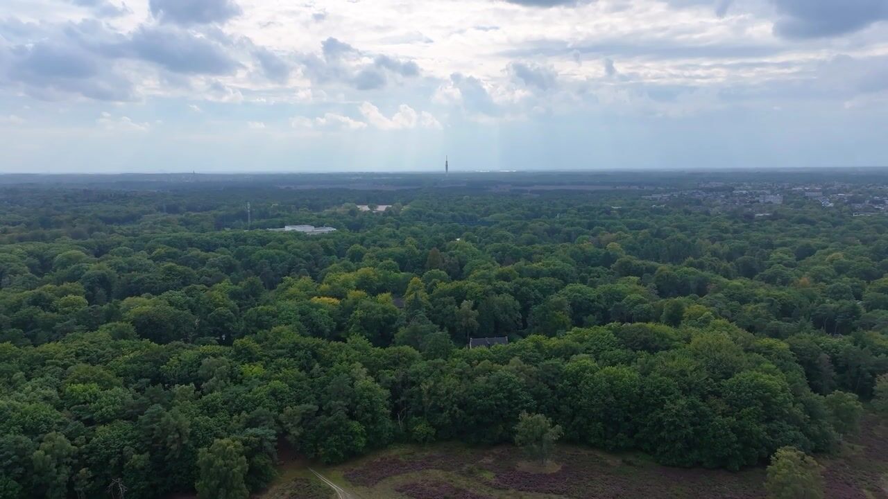 Video van Koning Willem III-laan 9