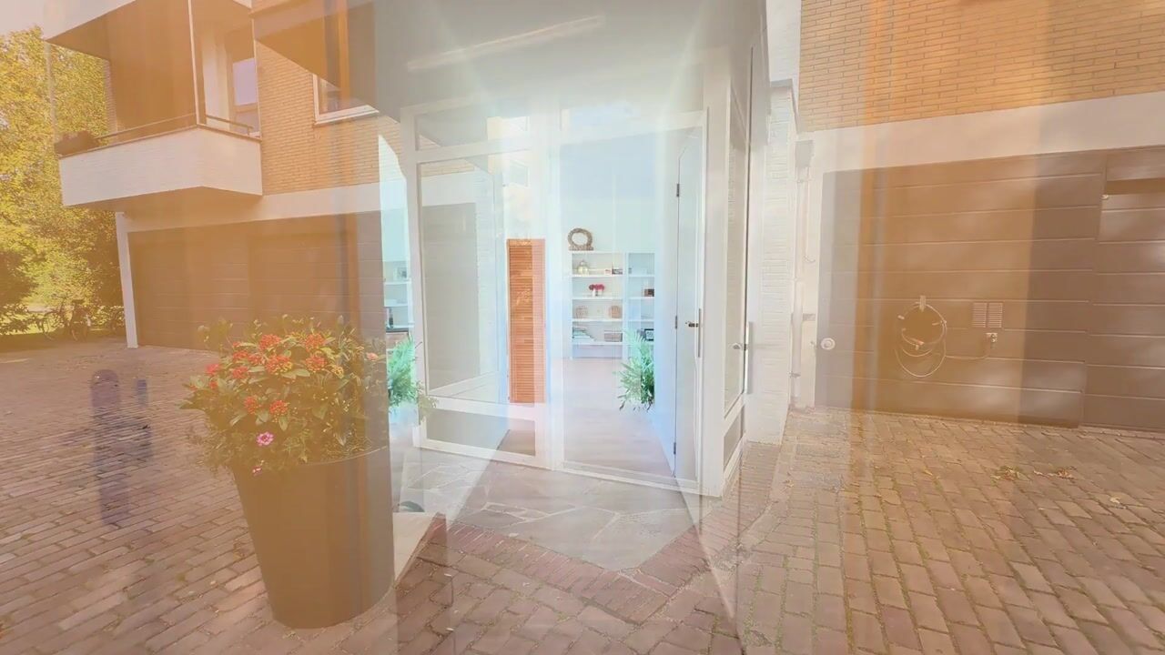 Video van Merelhof 19