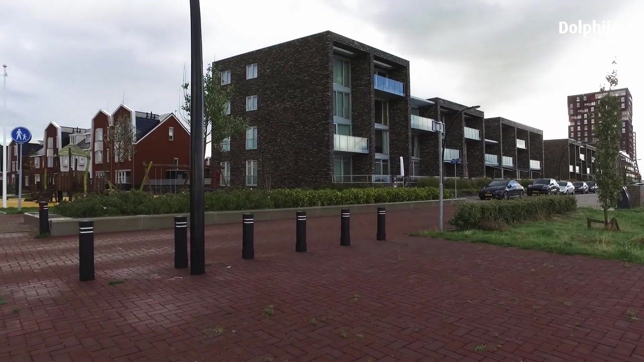 Video van Elbe 21