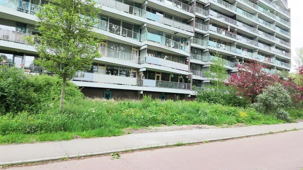 Video of Belvédèrebos 7
