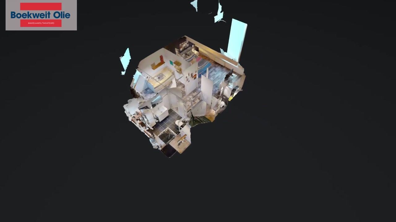 Video van Paardebloem 66