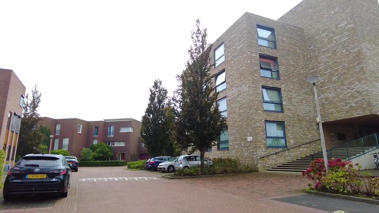 Video van Kooikerstraat 87