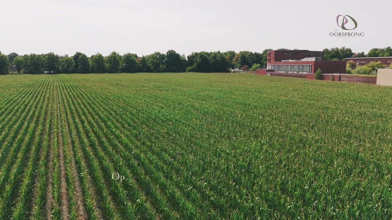 Video of De Oorsprong (Bouwnr. 35)