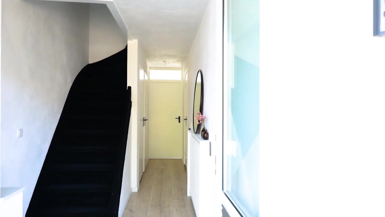 Video van Hofsingel 215