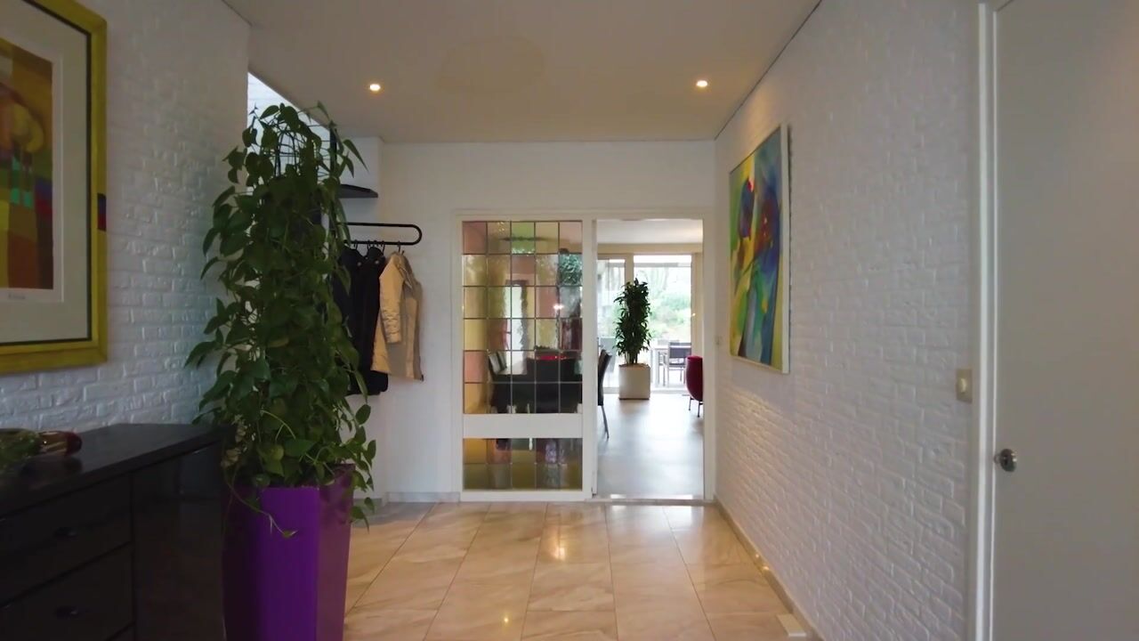 Video van Millsebaan 65