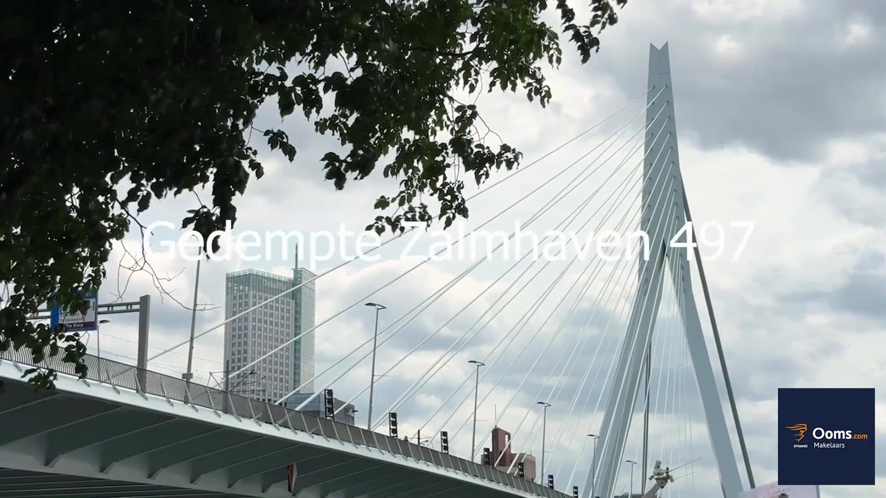 Video van Gedempte Zalmhaven 497