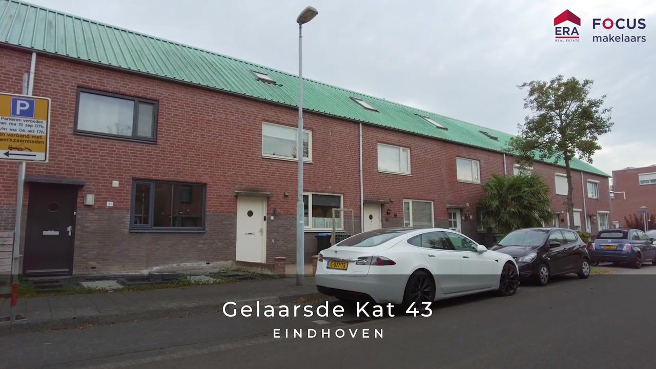 Video van Gelaarsde Kat 43