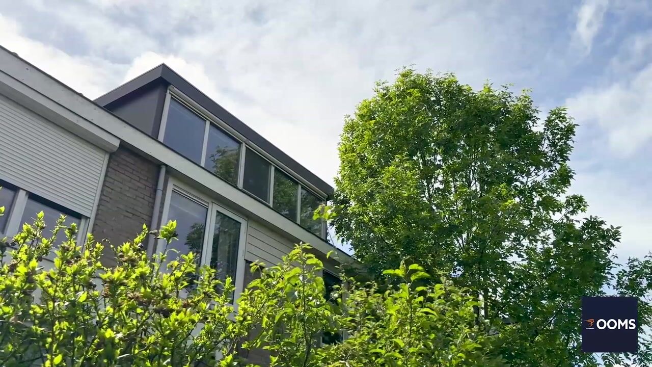 Video van Merelhoven 273