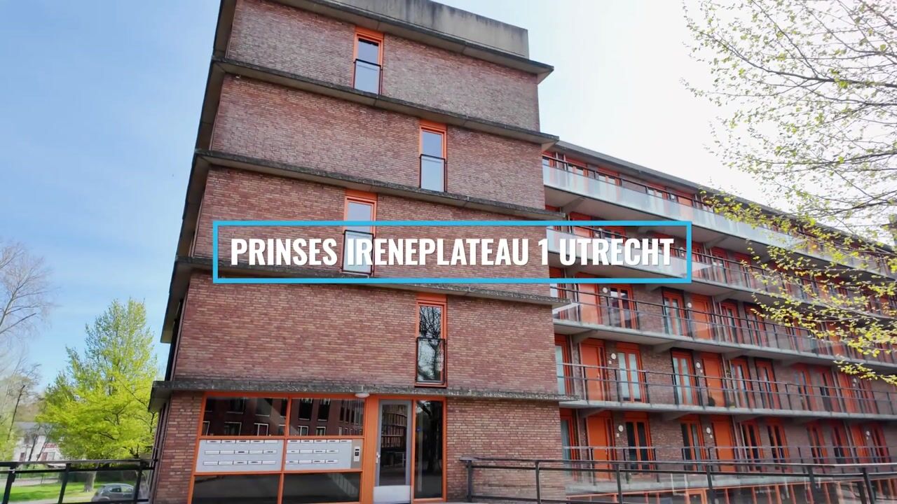 Video van Prinses Ireneplateau 1