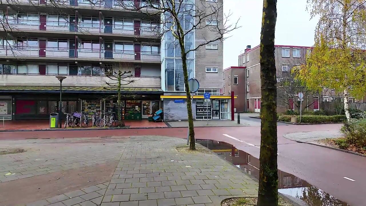 Video van Renswoudestraat 16