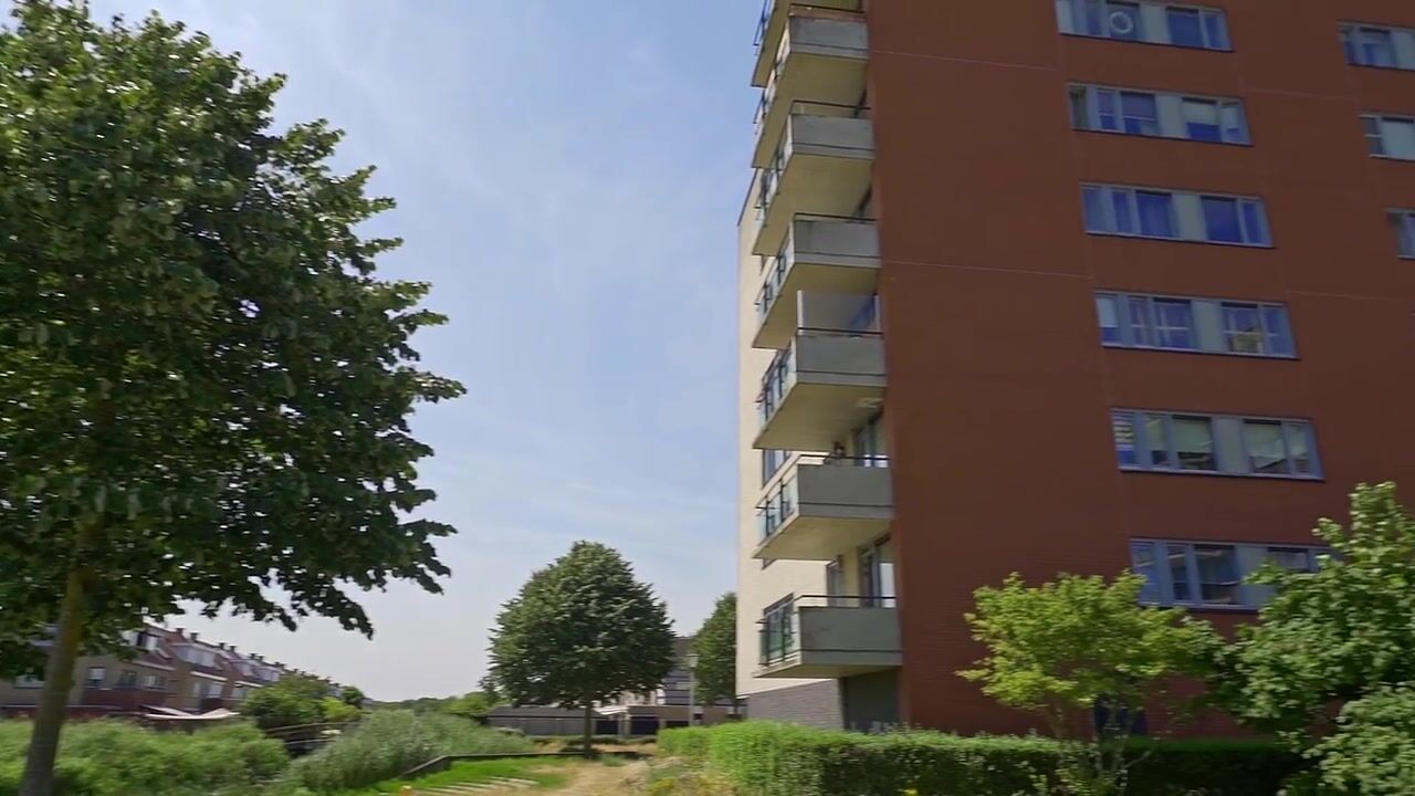 Video van Parnassia 275
