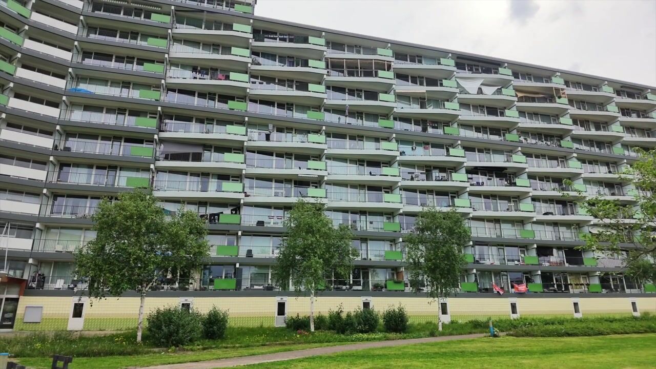 Video van Zalkerbos 123