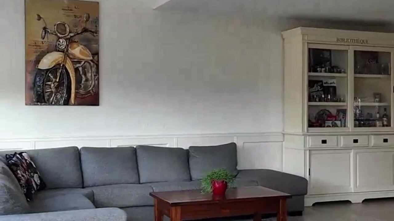 Video of Woestijnvaraan 17