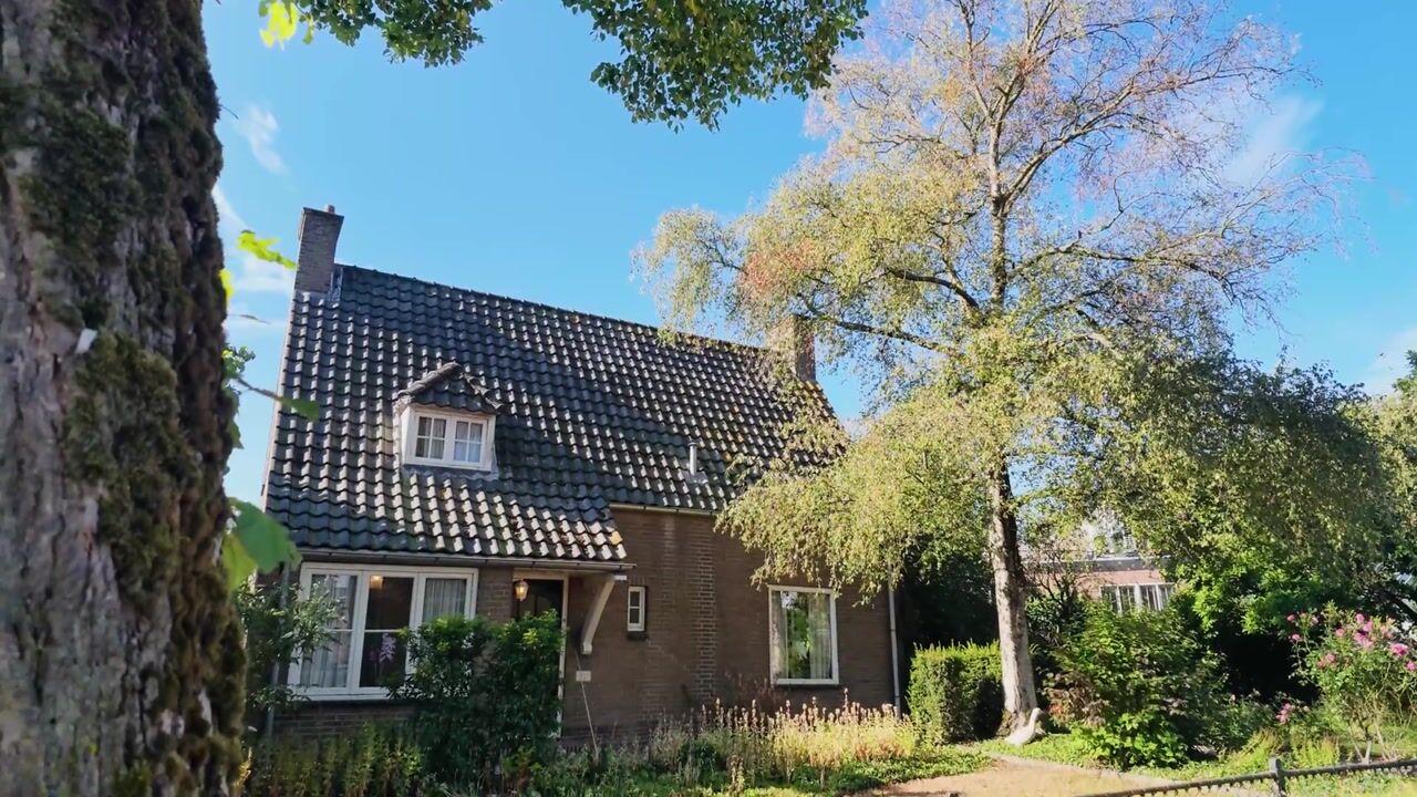 Video of Liniestraat 2