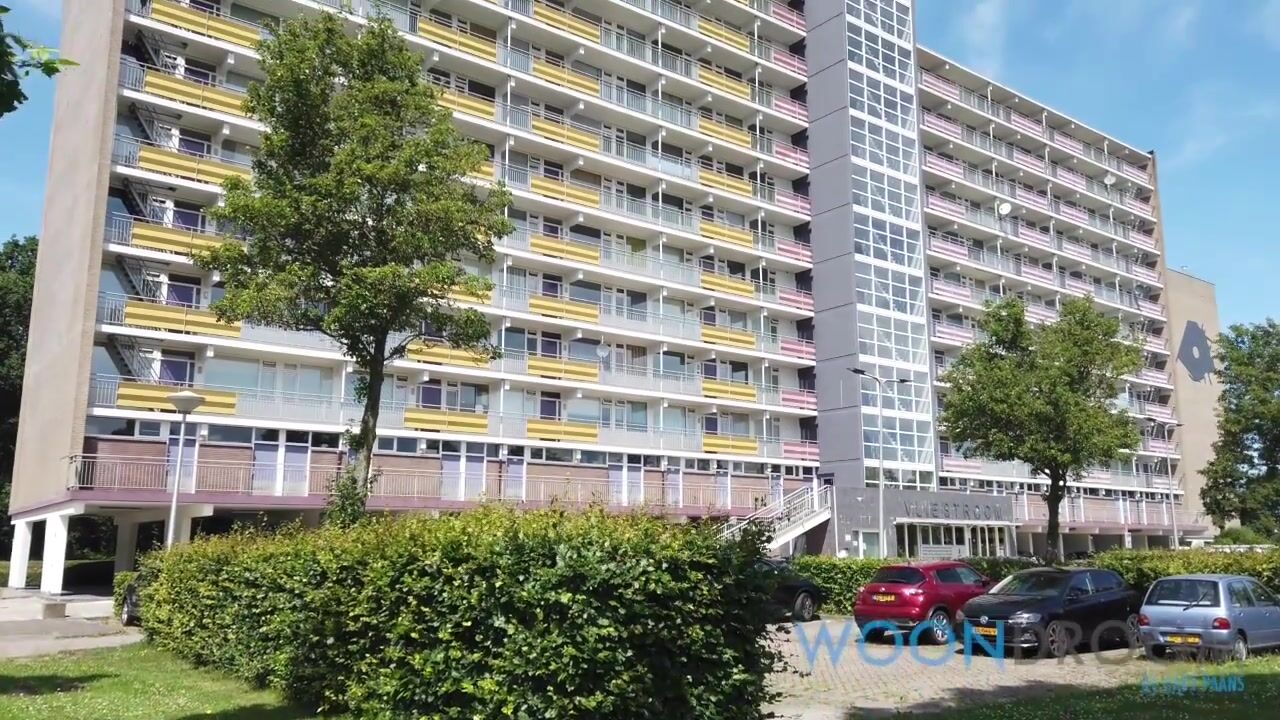 Video van Vliestroom 42