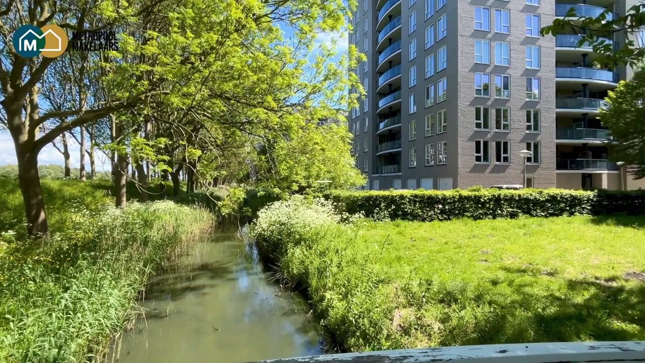 Video van Meerkoet 13