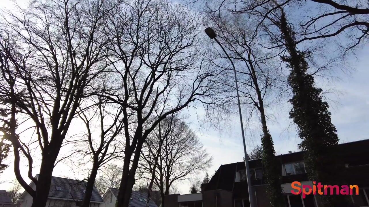 Video van Houtsniplaan 11