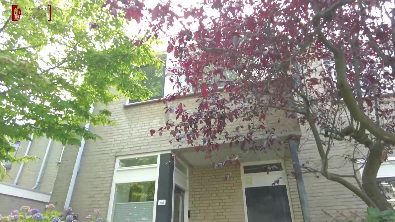 Video van Hargplein 66