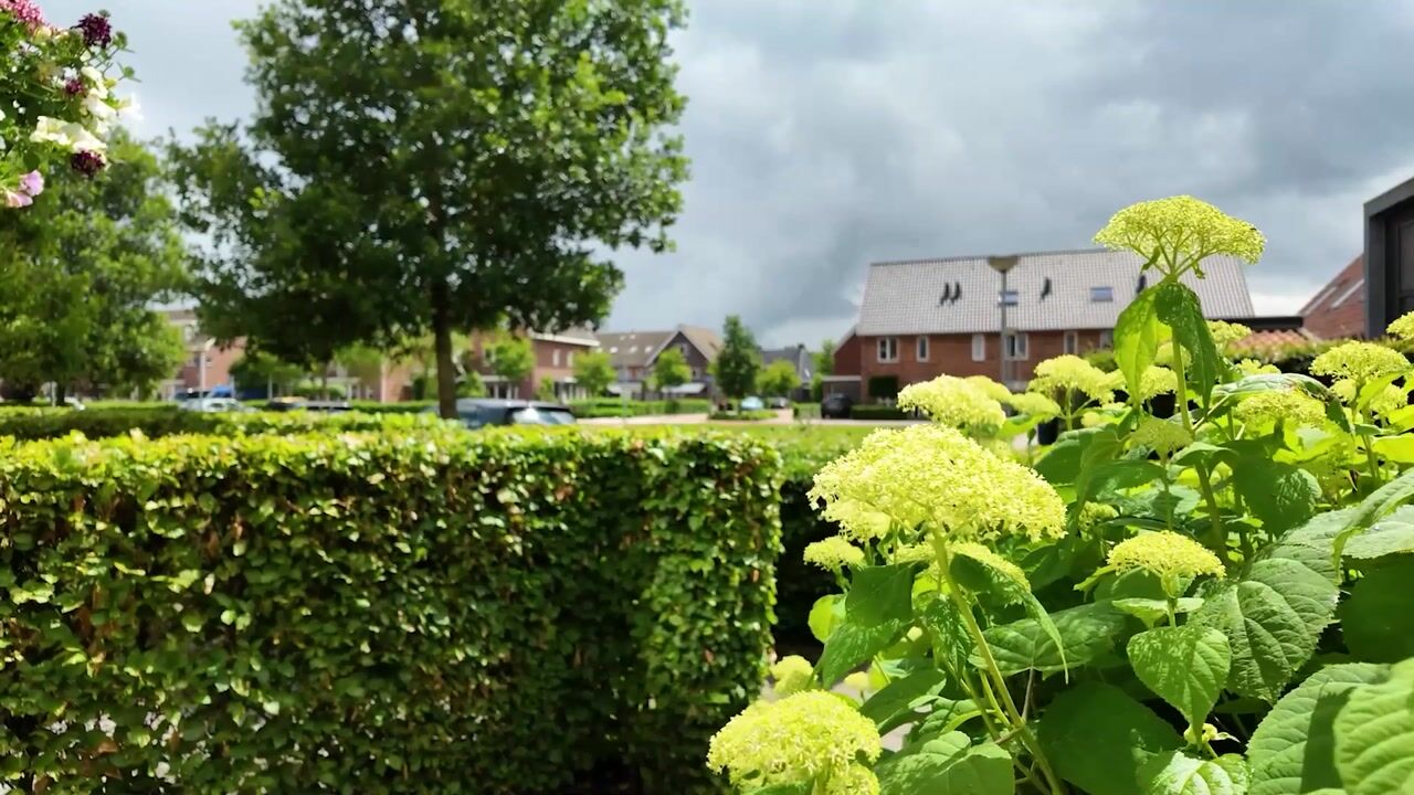 Video van Kraaiheide 8