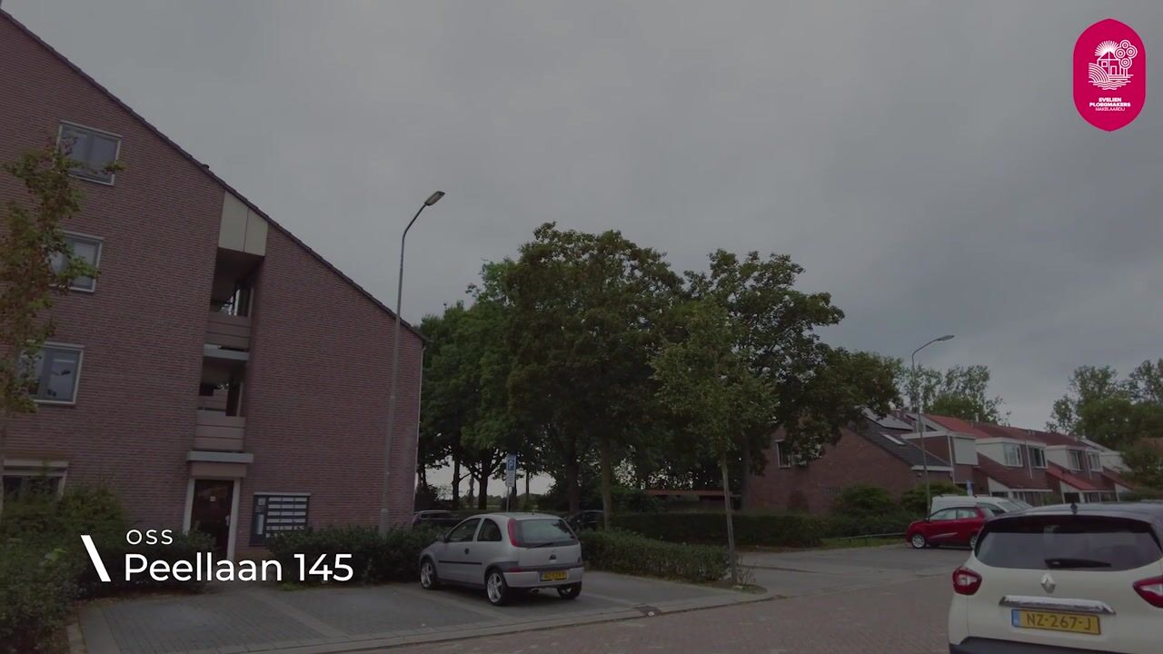 Video van Peellaan 145
