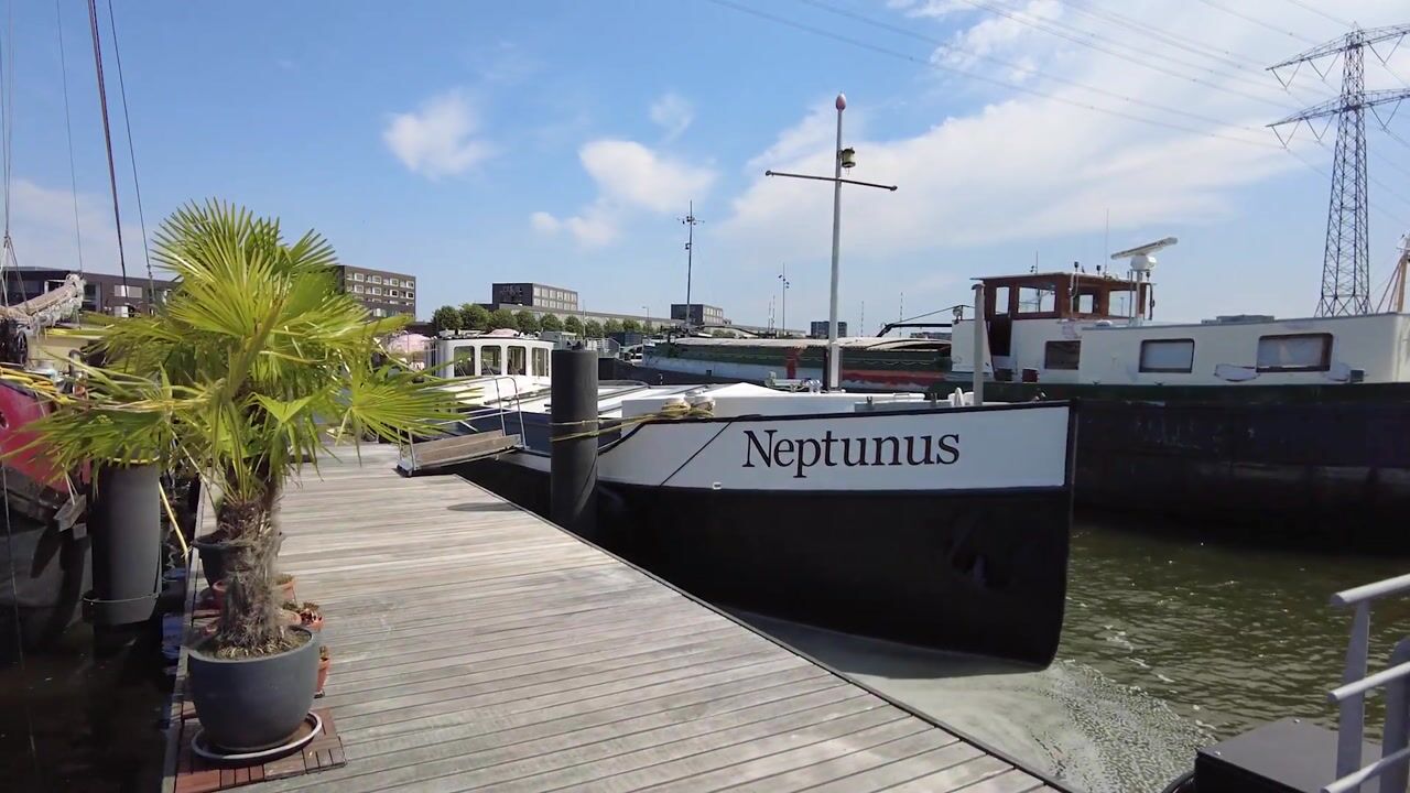 Video van Haringbuisdijk 995