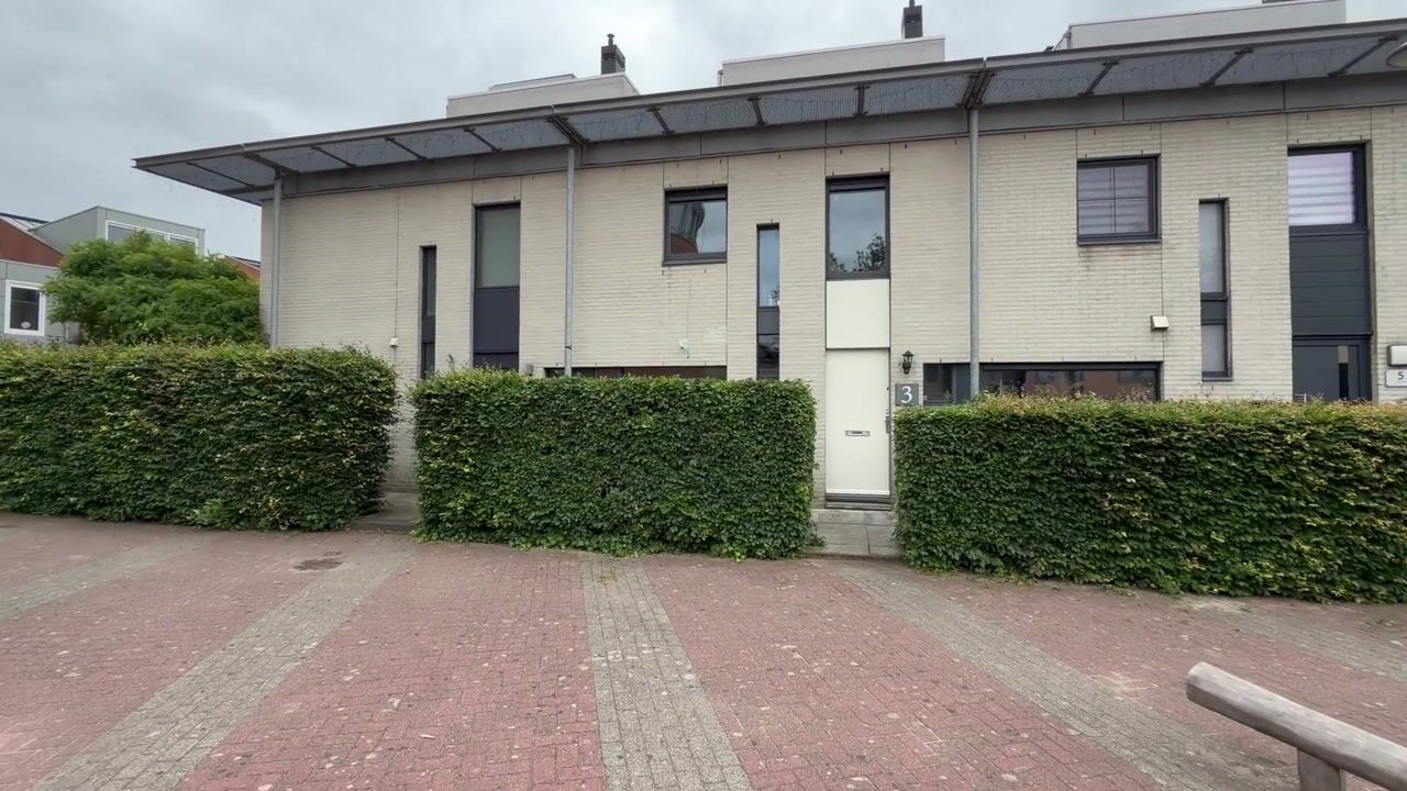 Video van Zilvermeeuw 3