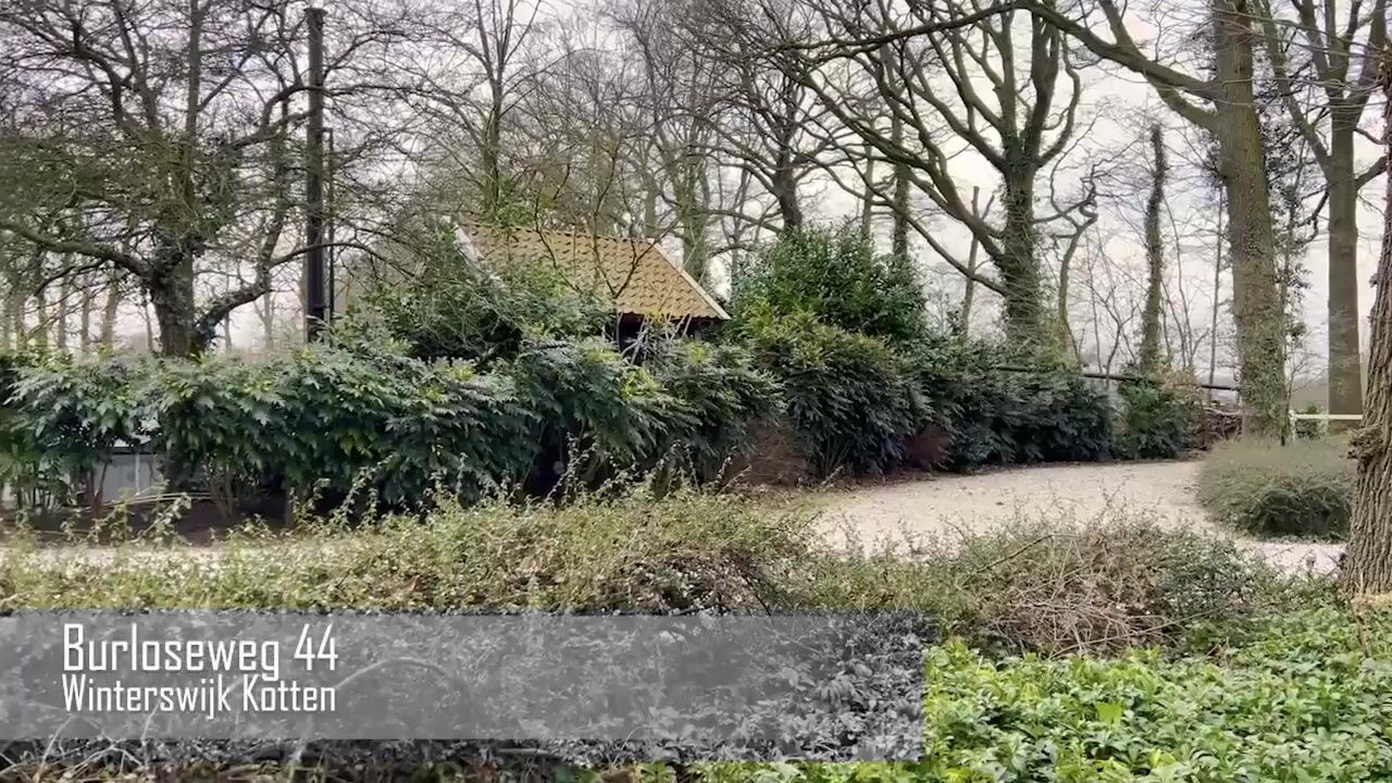 Video van Burloseweg 44