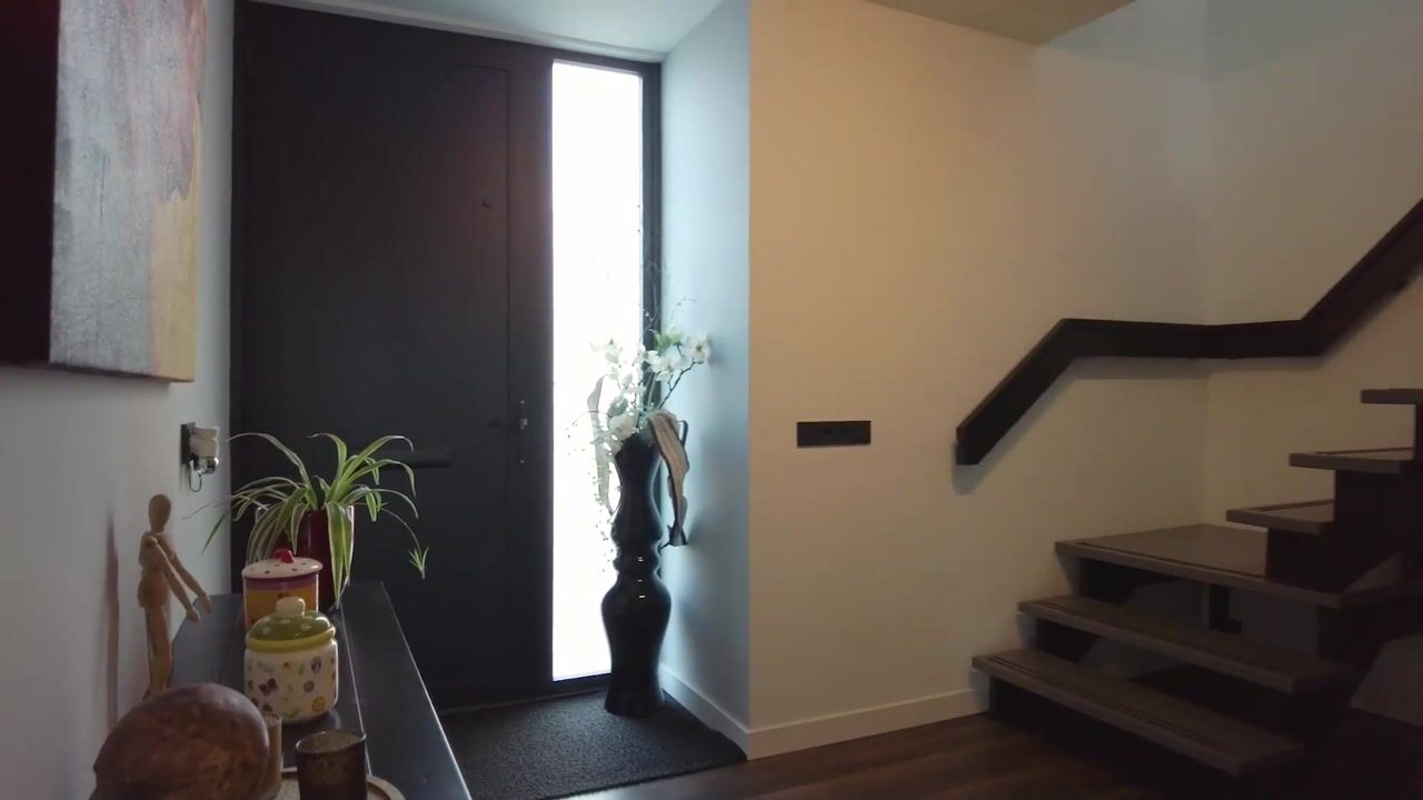 Video of Hollesteeg 6