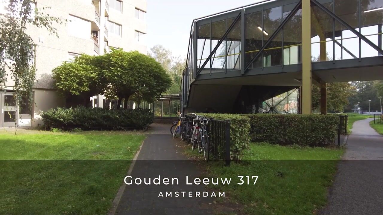 Video van Gouden Leeuw 317