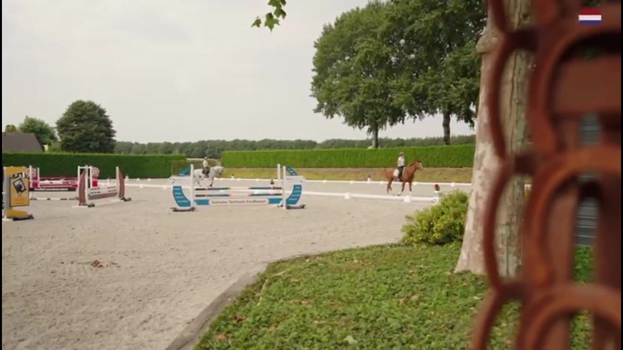 Video van Klein Amerika 1