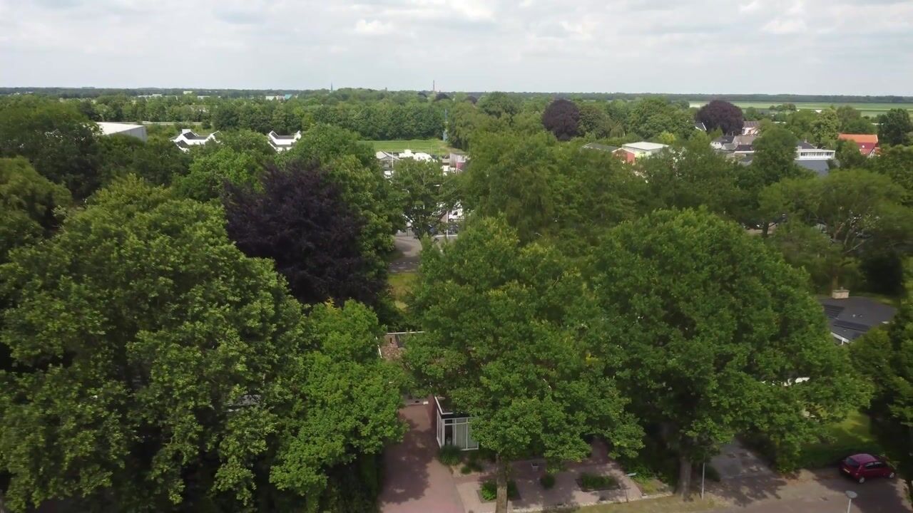 Video van Rembrandtlaan 5