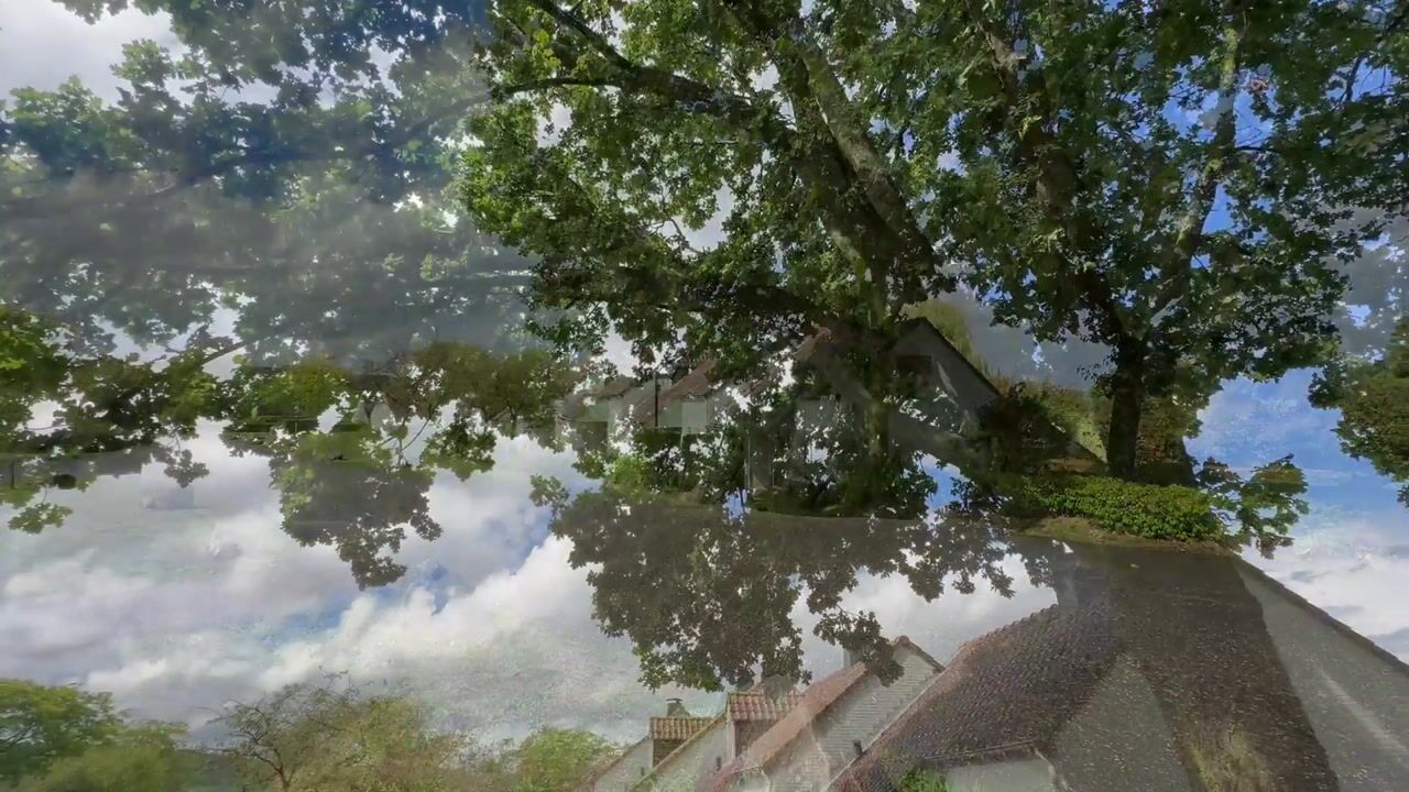 Video van Randweg 21-220
