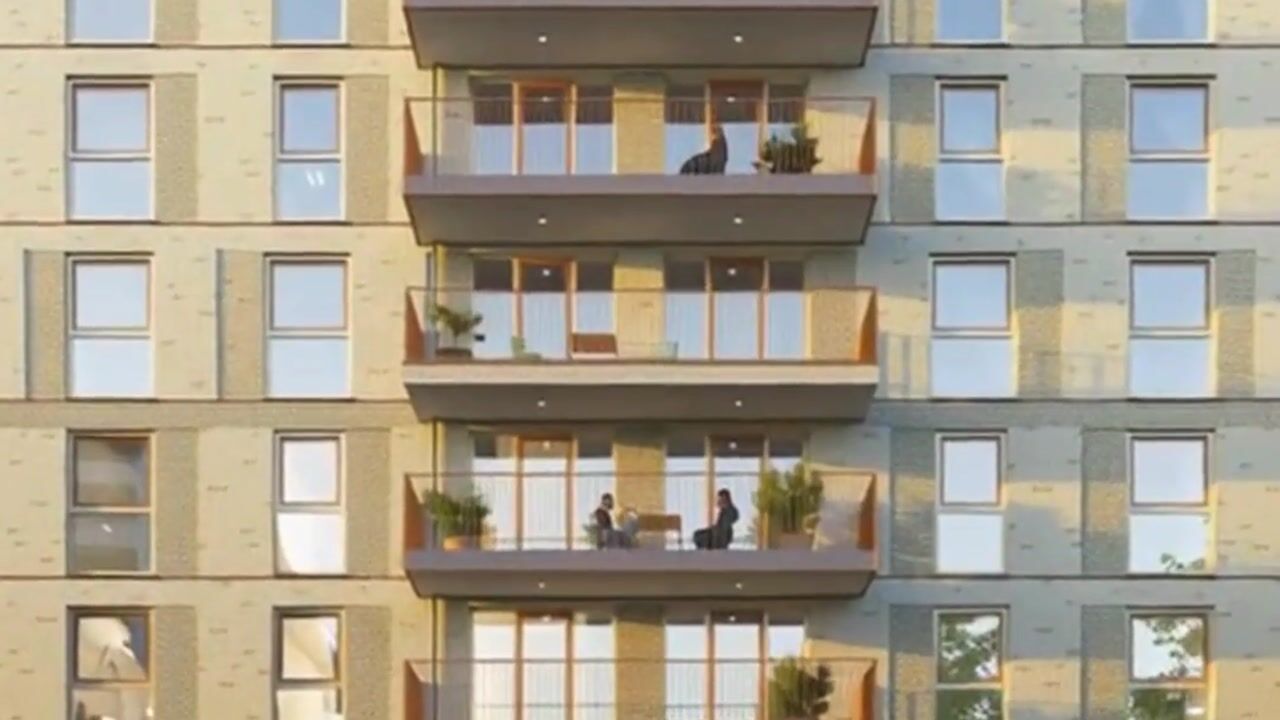 Video of Zonnesteen 131