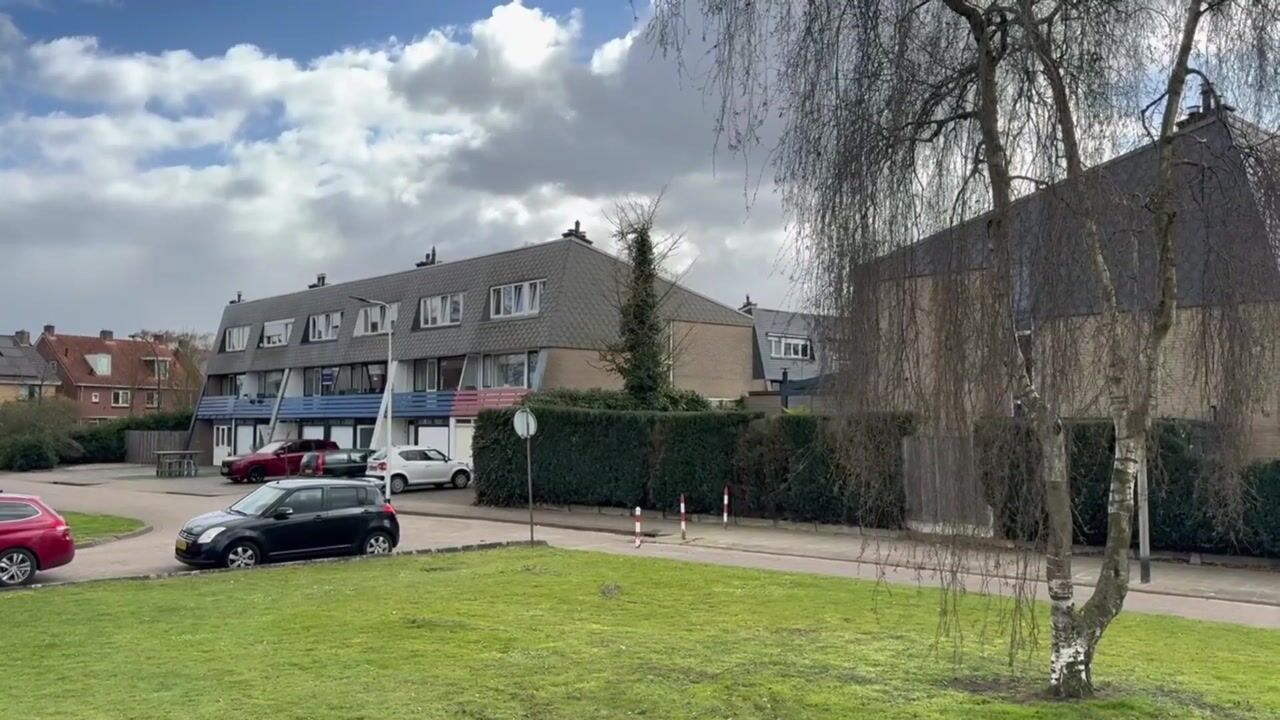 Video van Peckedam 1