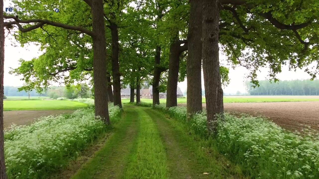 View video of Tolstraat 2