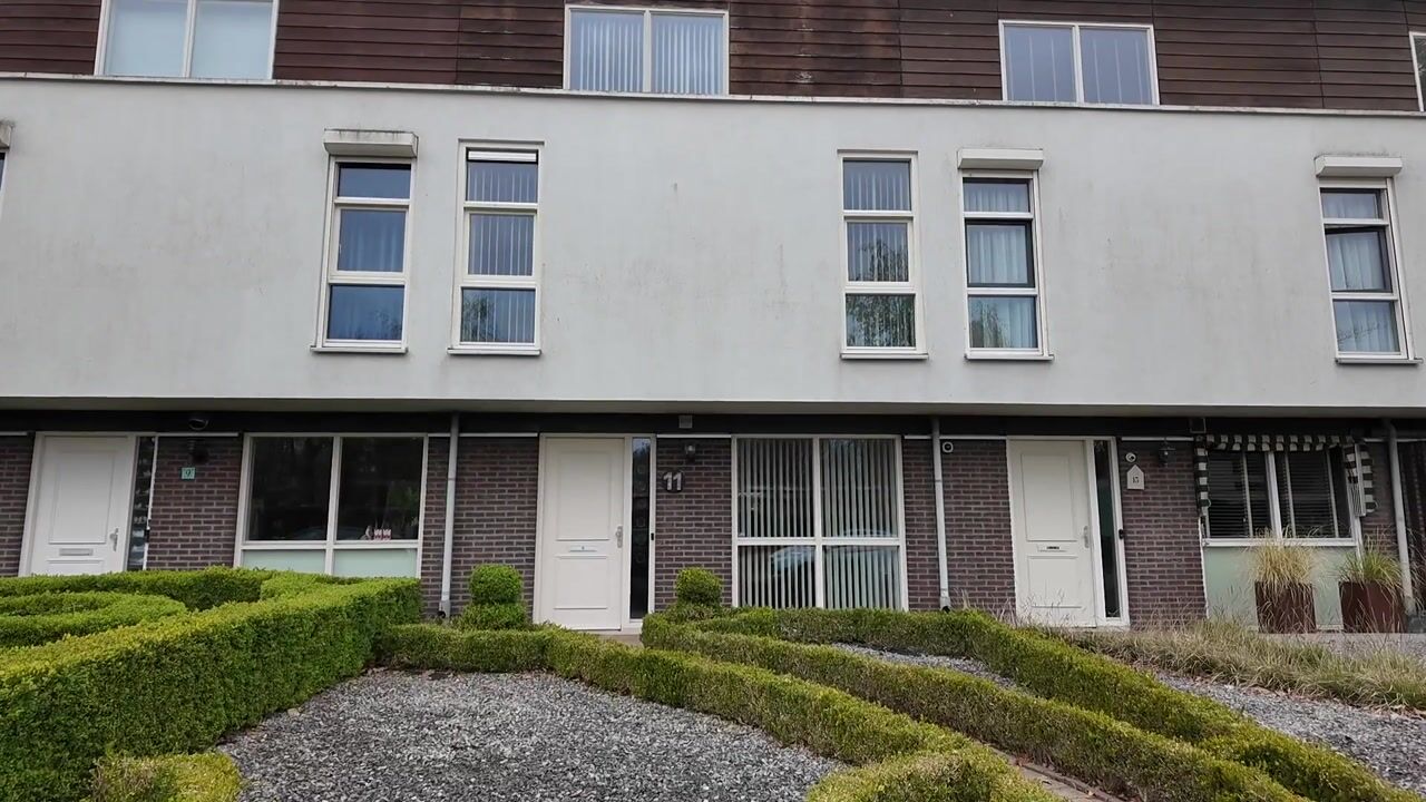 Video of Zandschuit 11