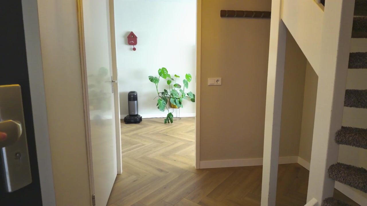 Video van Waterspiegel 36