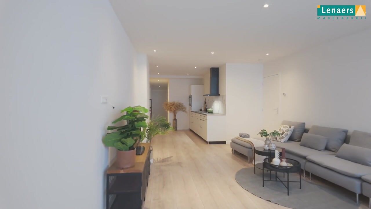 Video van Molenstraat 59