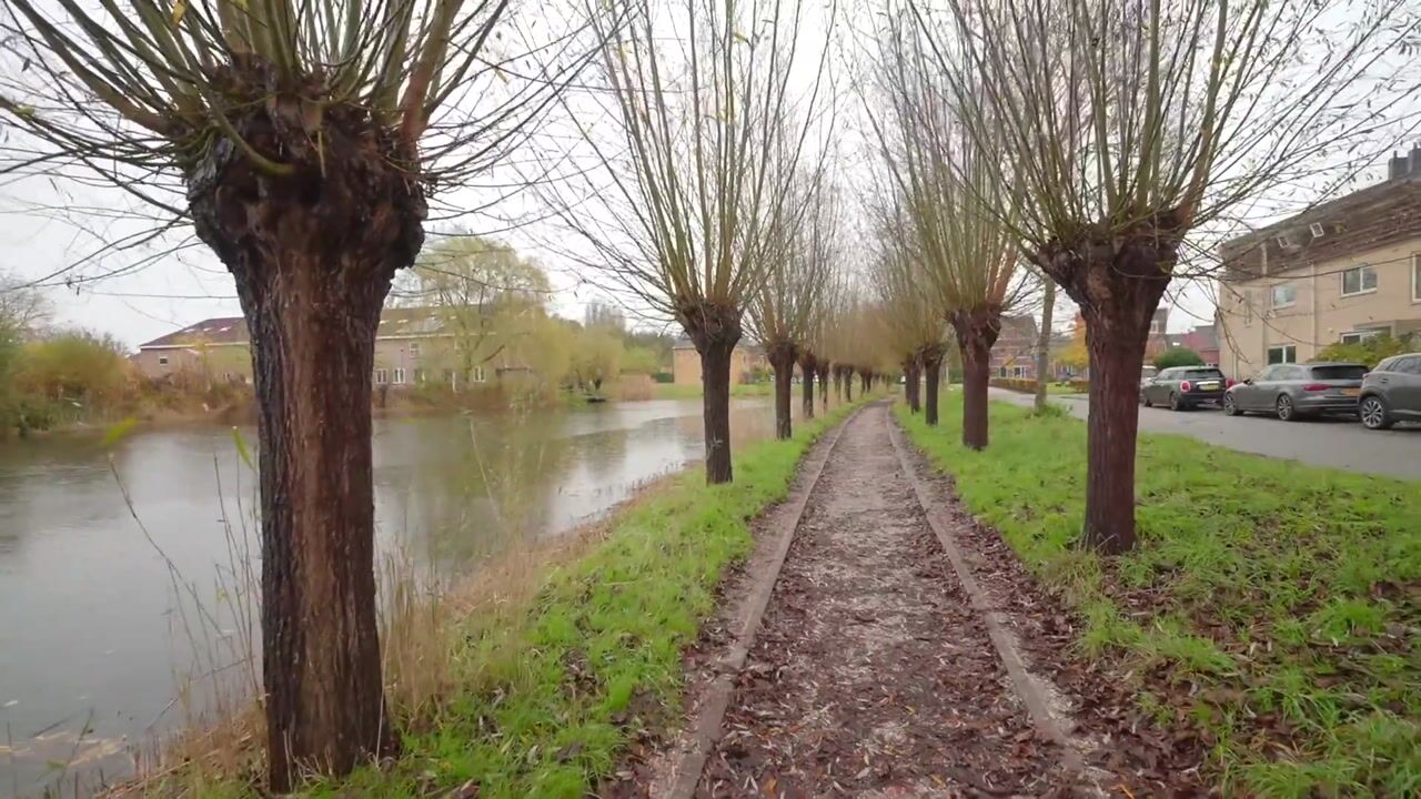 Bekijk video van Schellingstraat 35