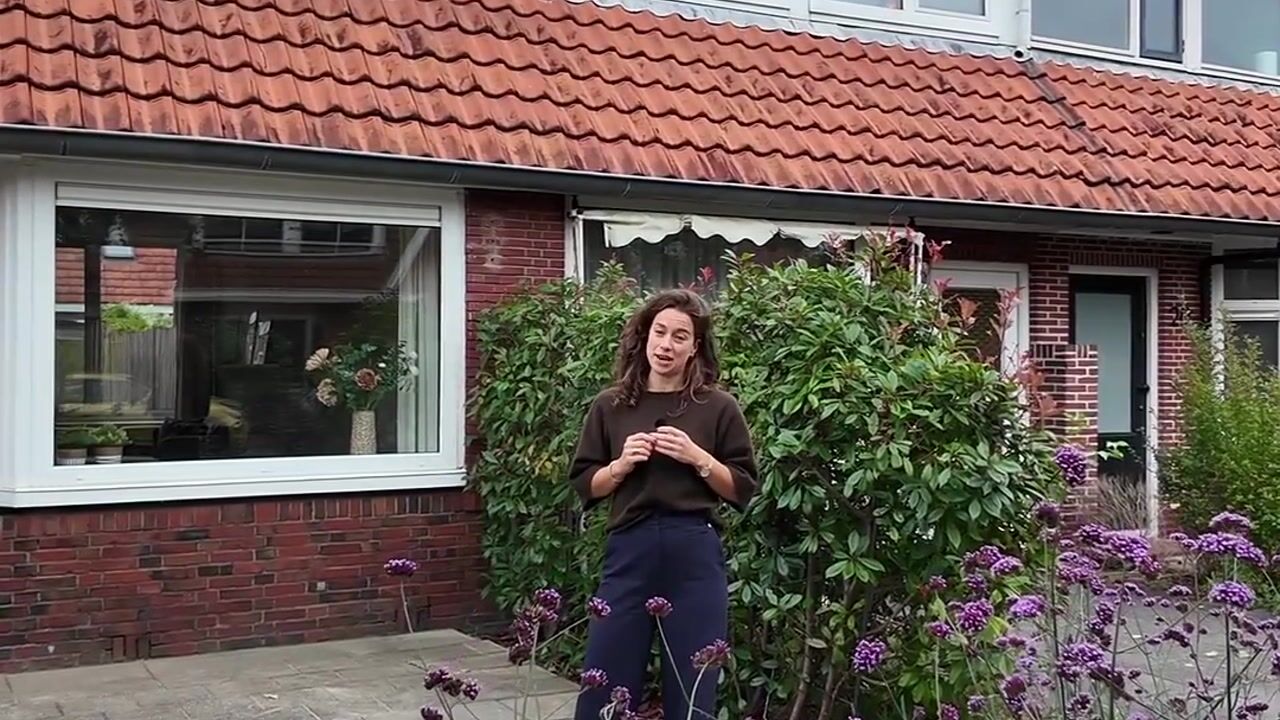 Video van d'Hondecoeterstraat 24