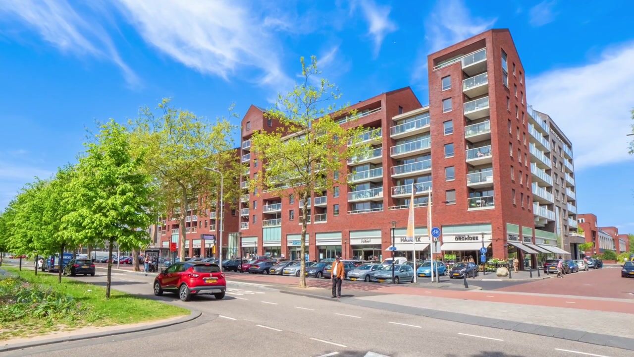 Video van Heemstedelaan 101