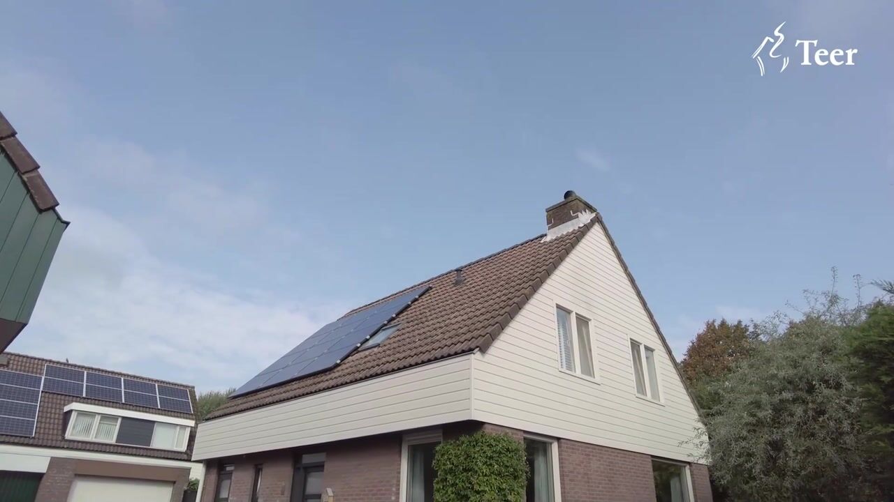 Video van Grutto 49