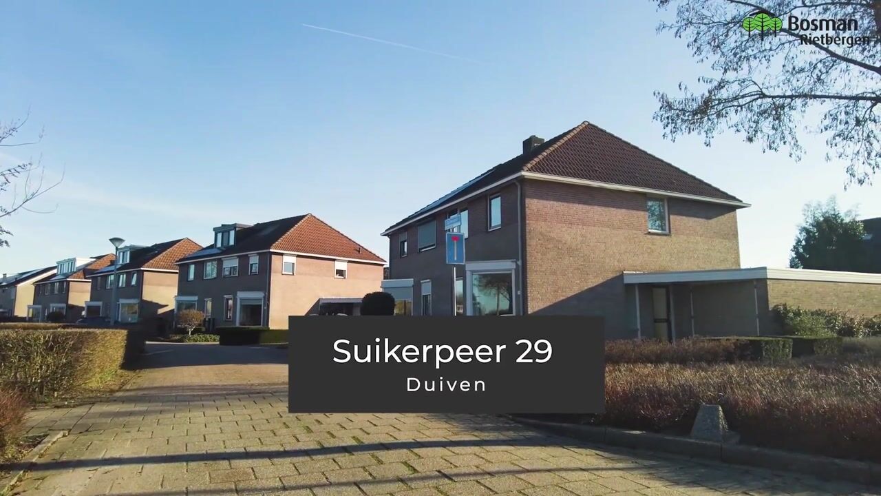 Video van Suikerpeer 29