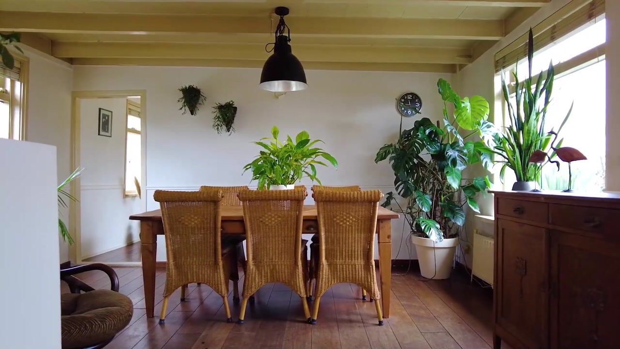 Video van Maasdijk 2