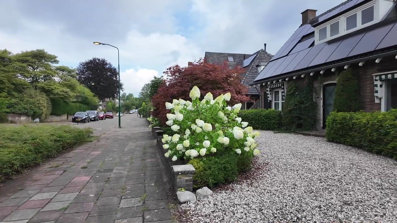 Video of Pieter de Hooghlaan 15