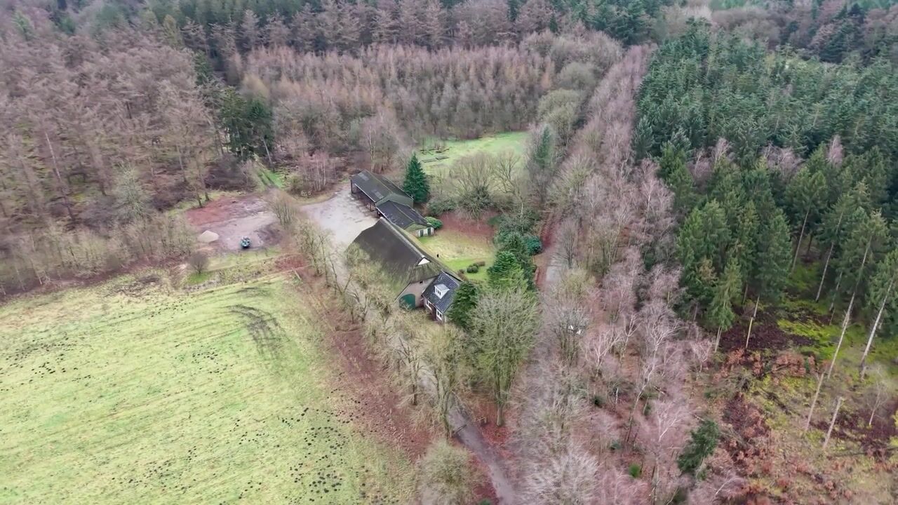 Video van Rolderstraat 11